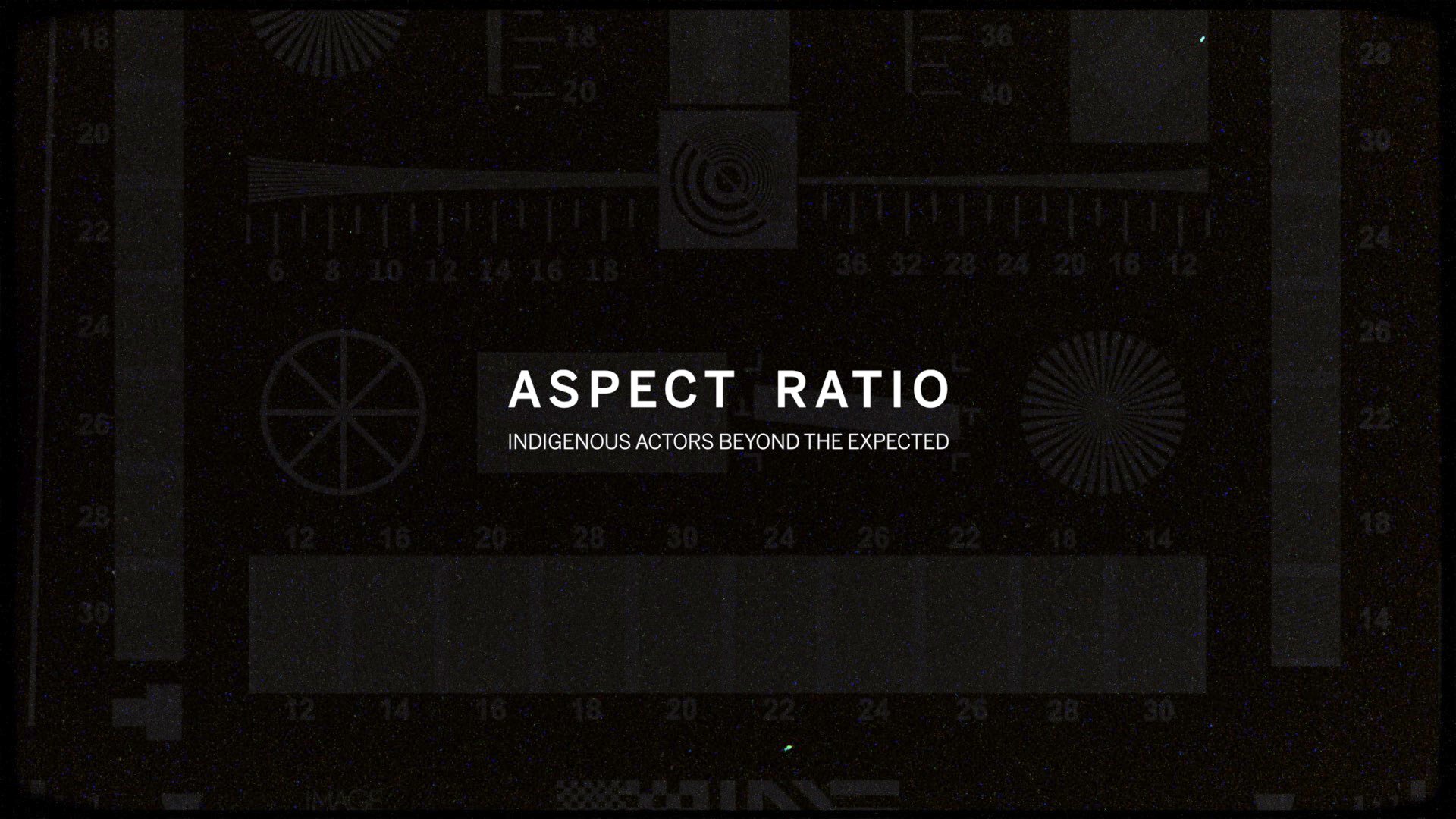 Aspect Ratio: Indigenous Actors Beyond the Expected