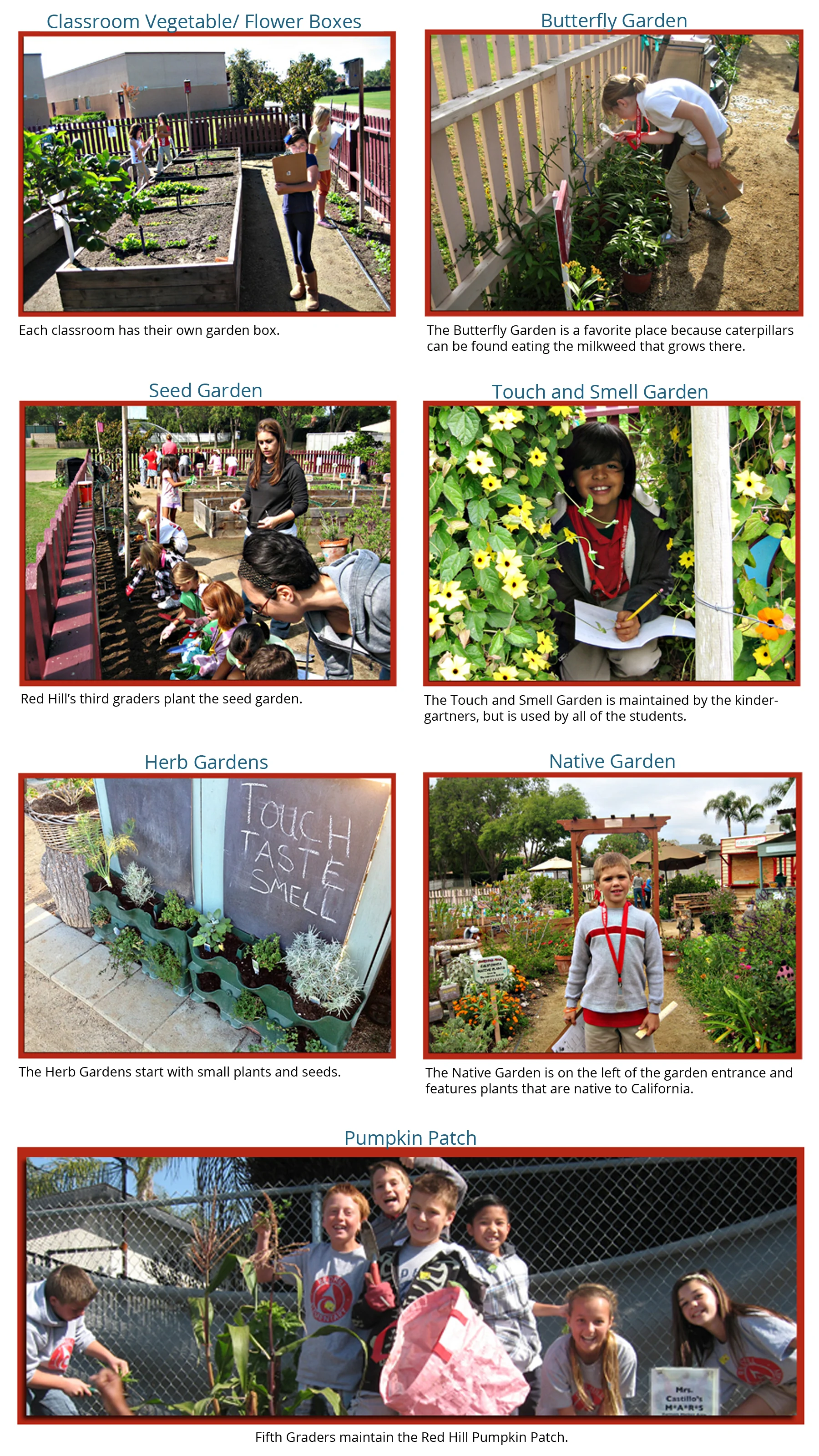 Specialty Gardens 18x32corrected.jpg