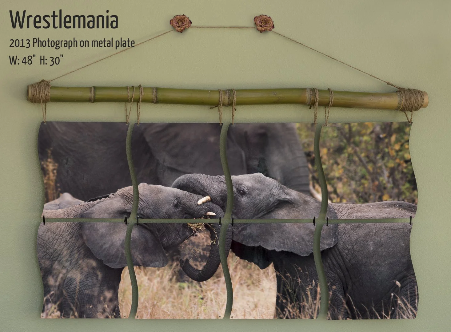 Wrestlemania. Photographic mural by Terrence Robertson-Fall of young elephants wrestling in Tanzania, Africa. 48"x30" 