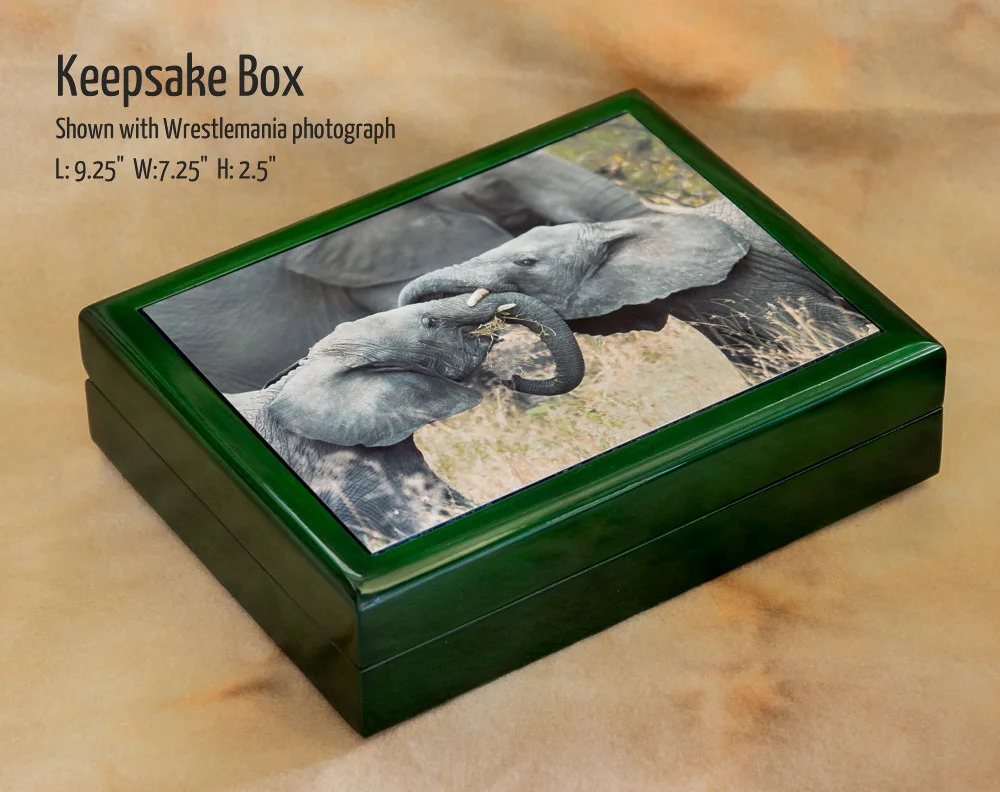 Keepsake_box_wrestlemania_by_Terrence_Robertson-Fall.jpg