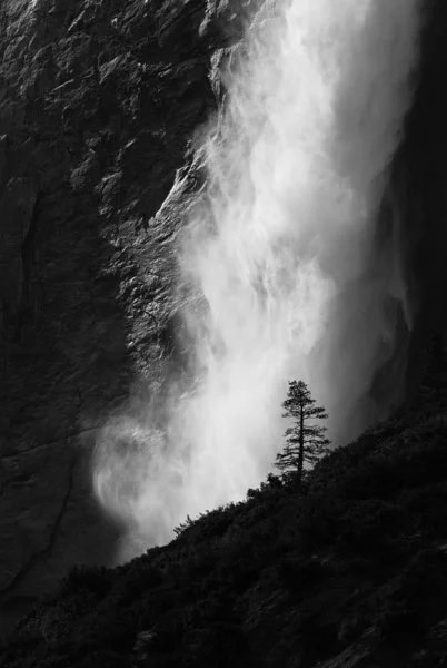 Standing Tall. Photograph by Terrence Robertson-Fall. A lone pine tree stands tall and strong, silhouetted against the towering, pounding force of Yosemite Falls in Yosemite National Park. Despite the raw power of the water, the sunlight reveals subtle layers in the water as it spins and twists in the air. This was taken in May, when the water runs the strongest. 
