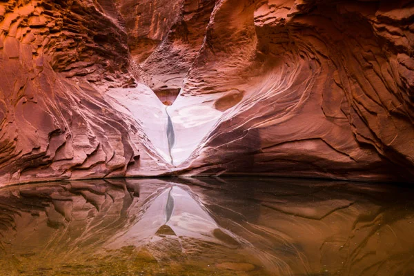 Heart of the Canyon. Photograph by Terrence Robertson-Fall. This early summer trickle of water is the remnant of a flow of water that carved the intricate wave patterns in Deer Creek Canyon. It gathers in a pool of water, eventually making it's way to the Colorado river in the Grand Canyon.