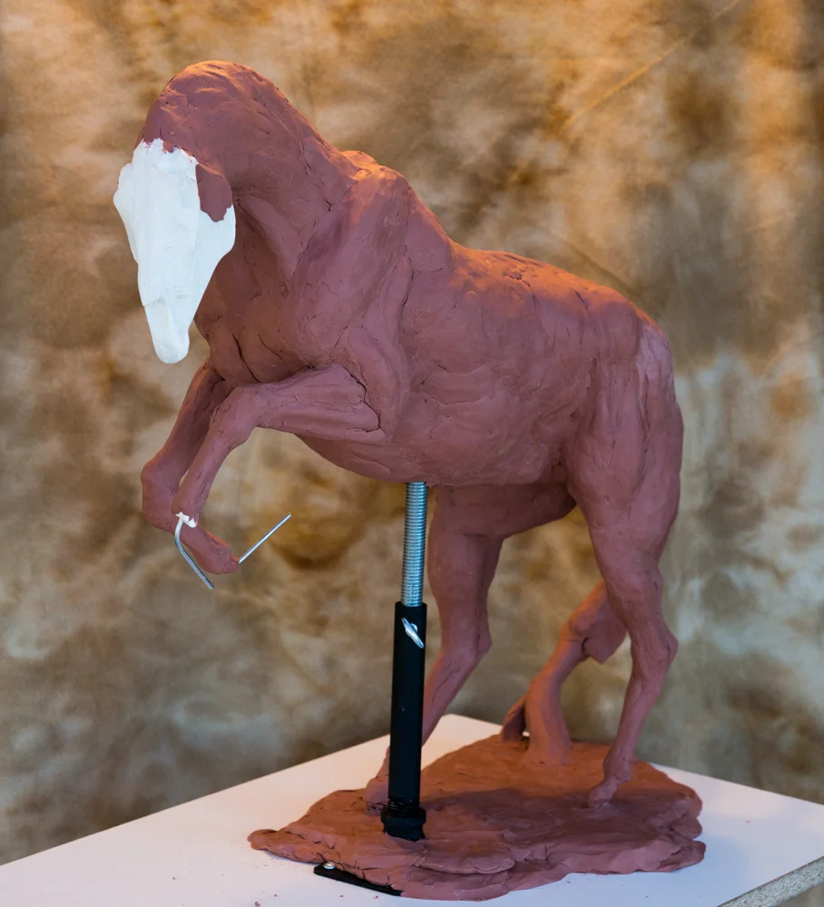 Running Free sculpture, bulking out the horse and defining the large muscle groups. Terrence Robertson-Fall Fine Art