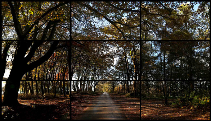 Nov. 7th, Nov. 26th 2010, Woldgate Woods, 11:30 and 11:00 am Still from screen video; © David Hockney