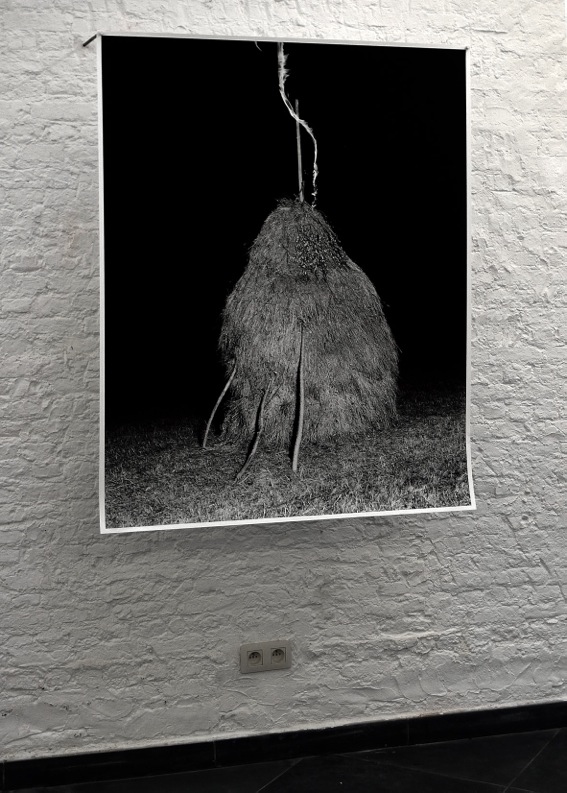 Untitled (from the series 'O'), Liam Singelyn