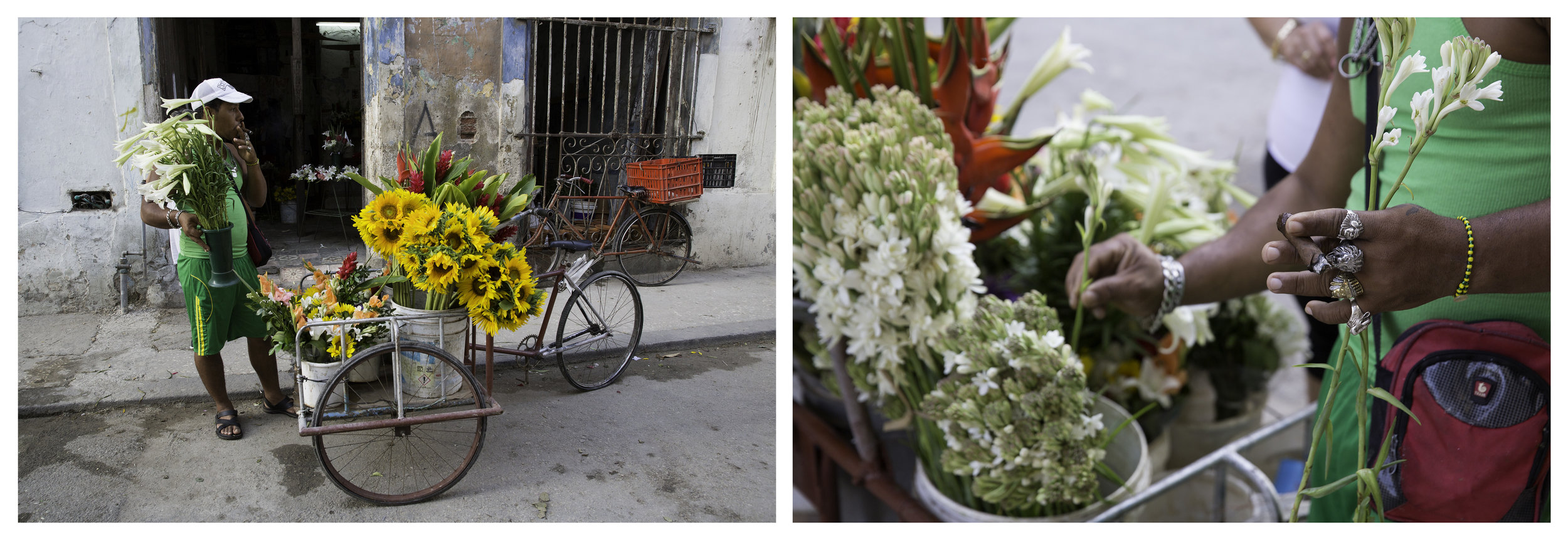 FLOWER VENDOR DIPTYCH.jpg