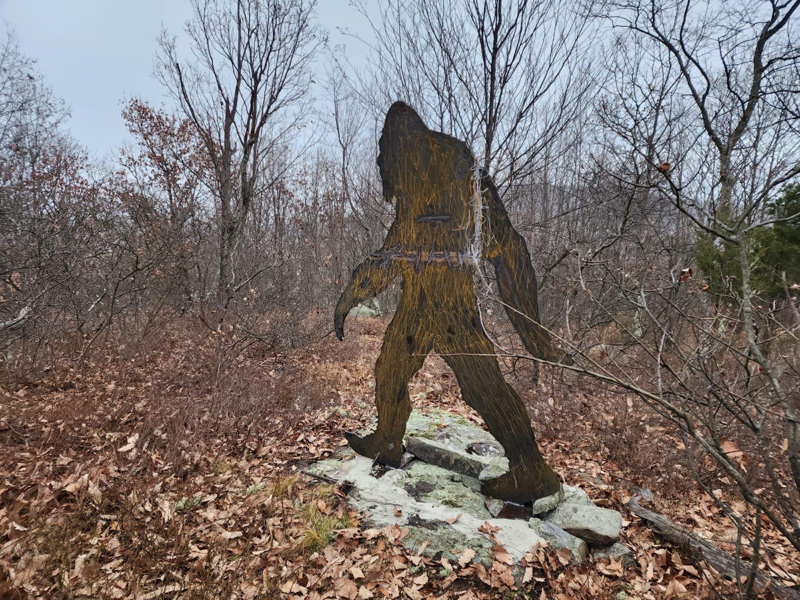 Sasquatch in the Wild