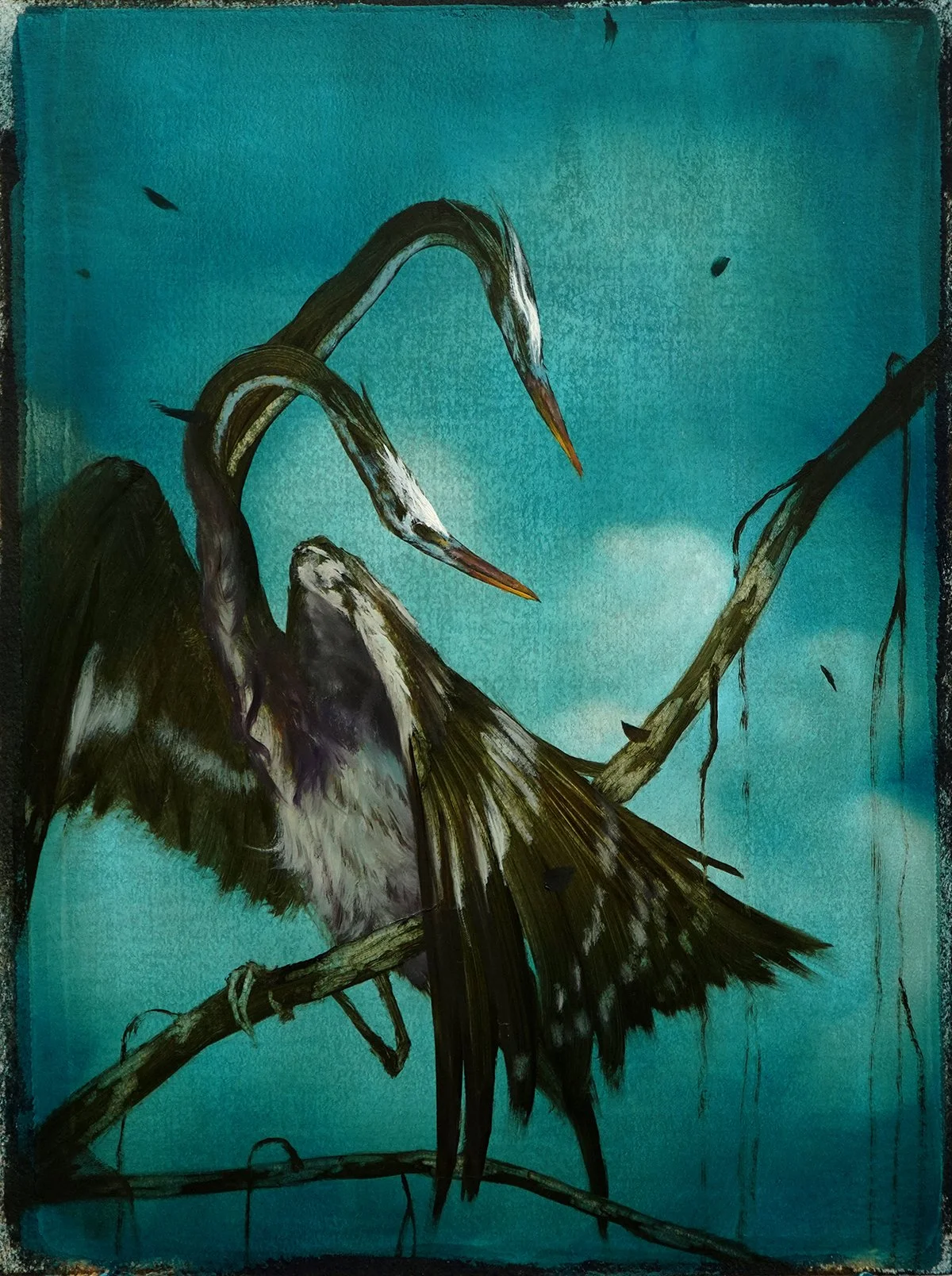 Twin_Heron_Study_72dpi.jpg