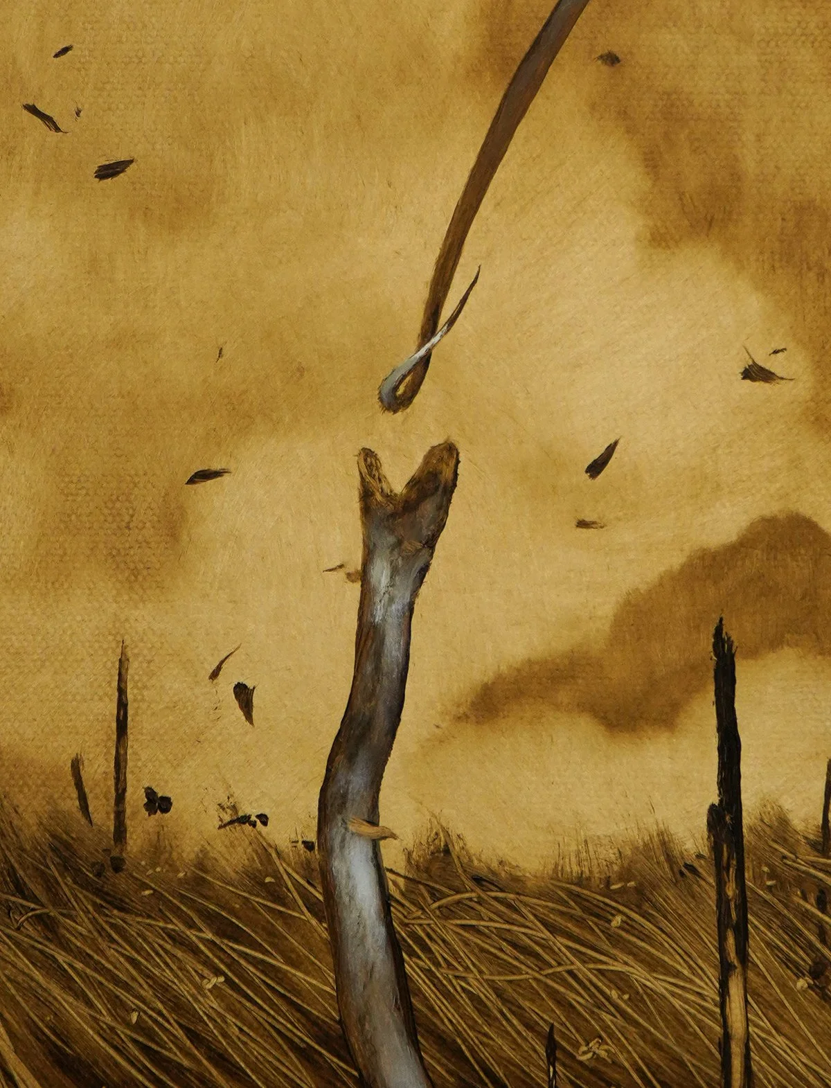 Ouroboros_Study_detail.jpg (Copy)