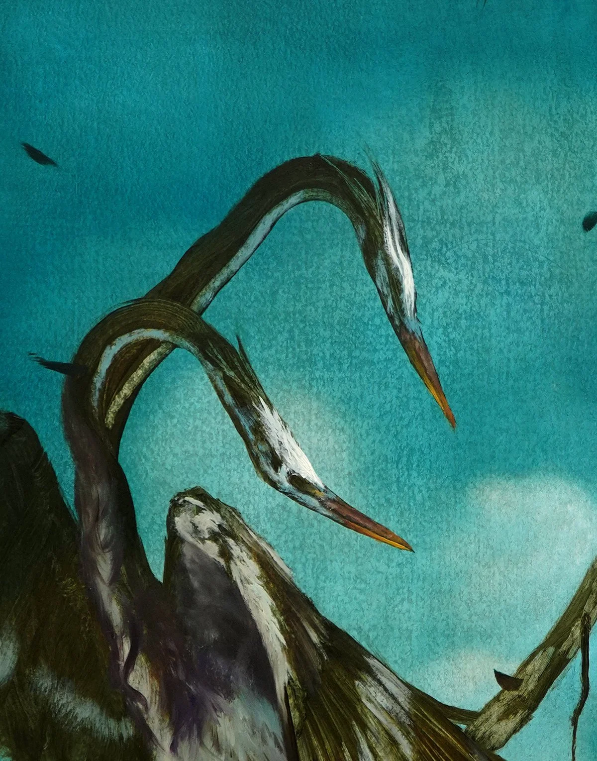 Twin_Heron_Study_detail_72dpi.jpg