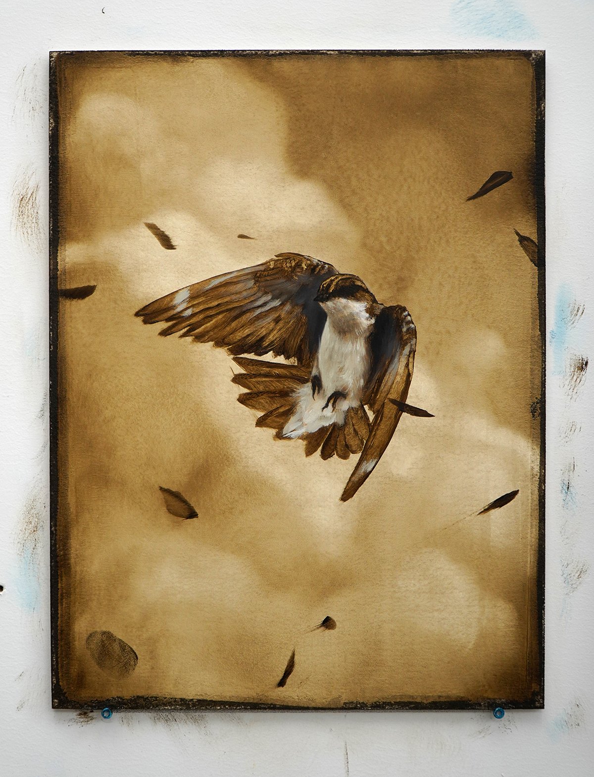 June Bird Study_wall_72dpi.jpg