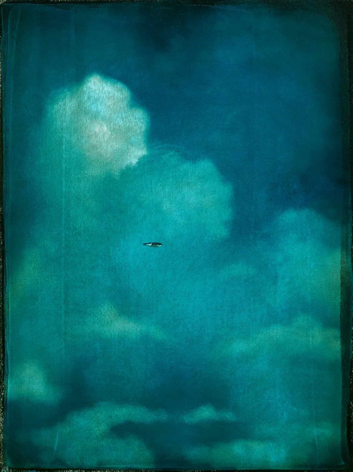 Unidentified_Study_1-72dpi.jpg