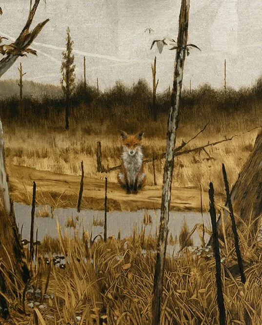 Borderlands-detail.jpg