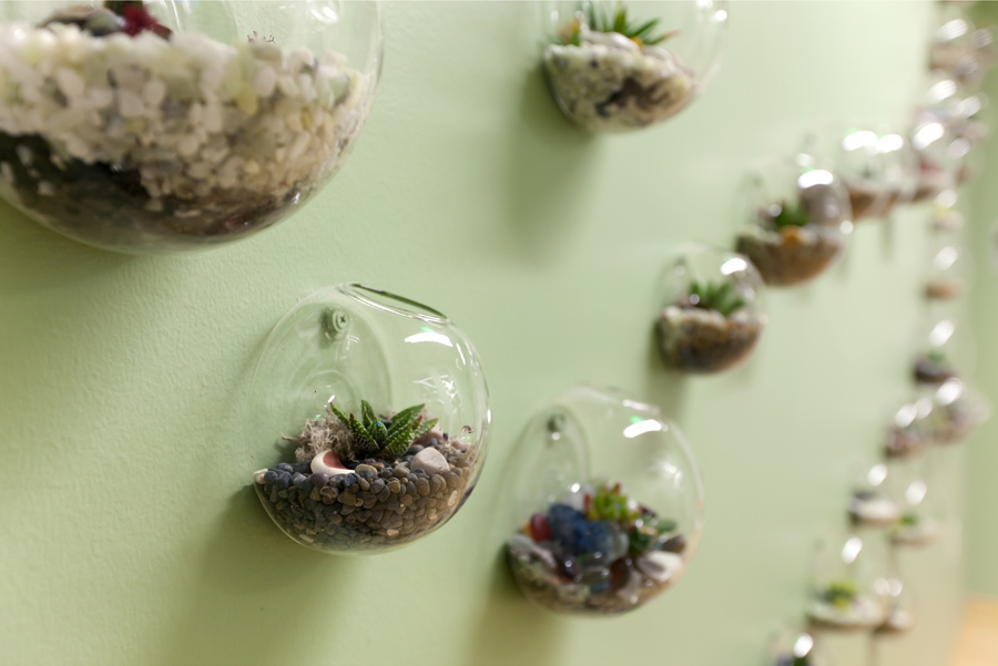 460Bryant_Weebly Succulents1.jpg