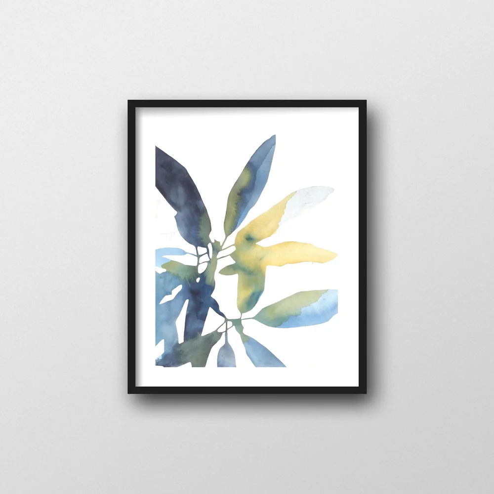 sansevieria mini Snake Plant 'Starlight' main image 1