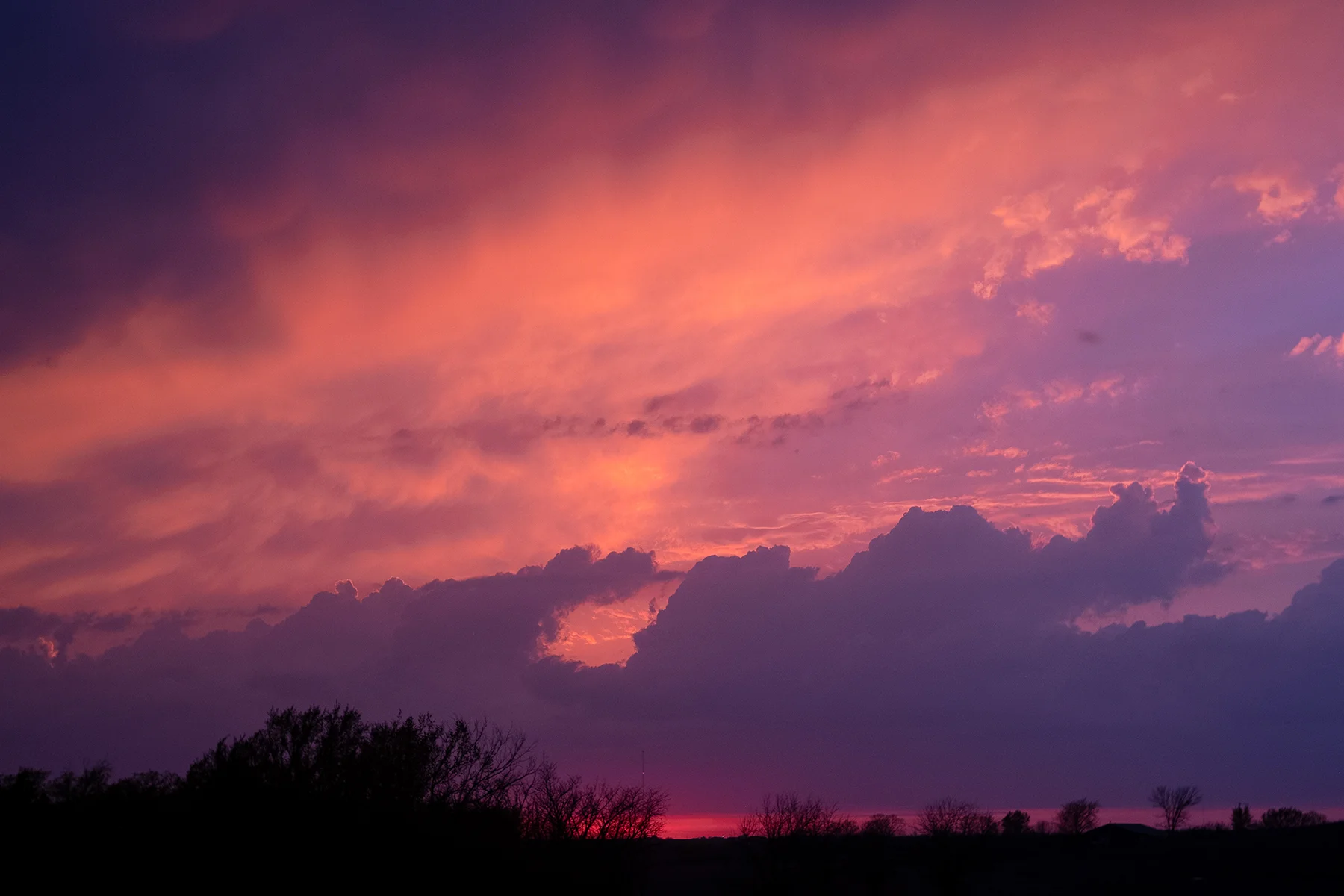DSCF0989.jpg