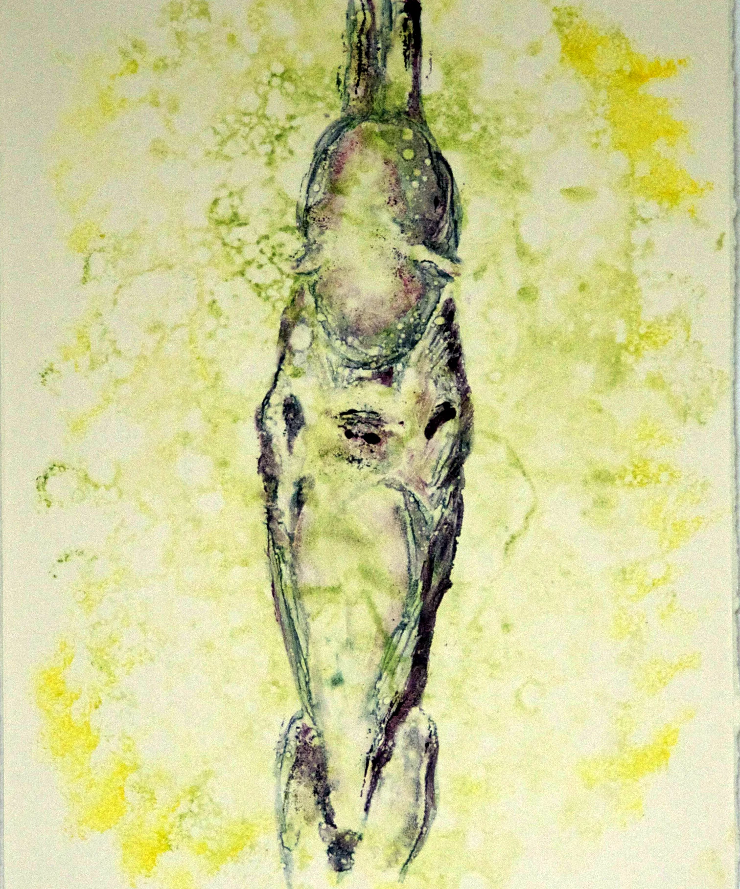 Julian, 2011, Monotype, 8 x 10 inches