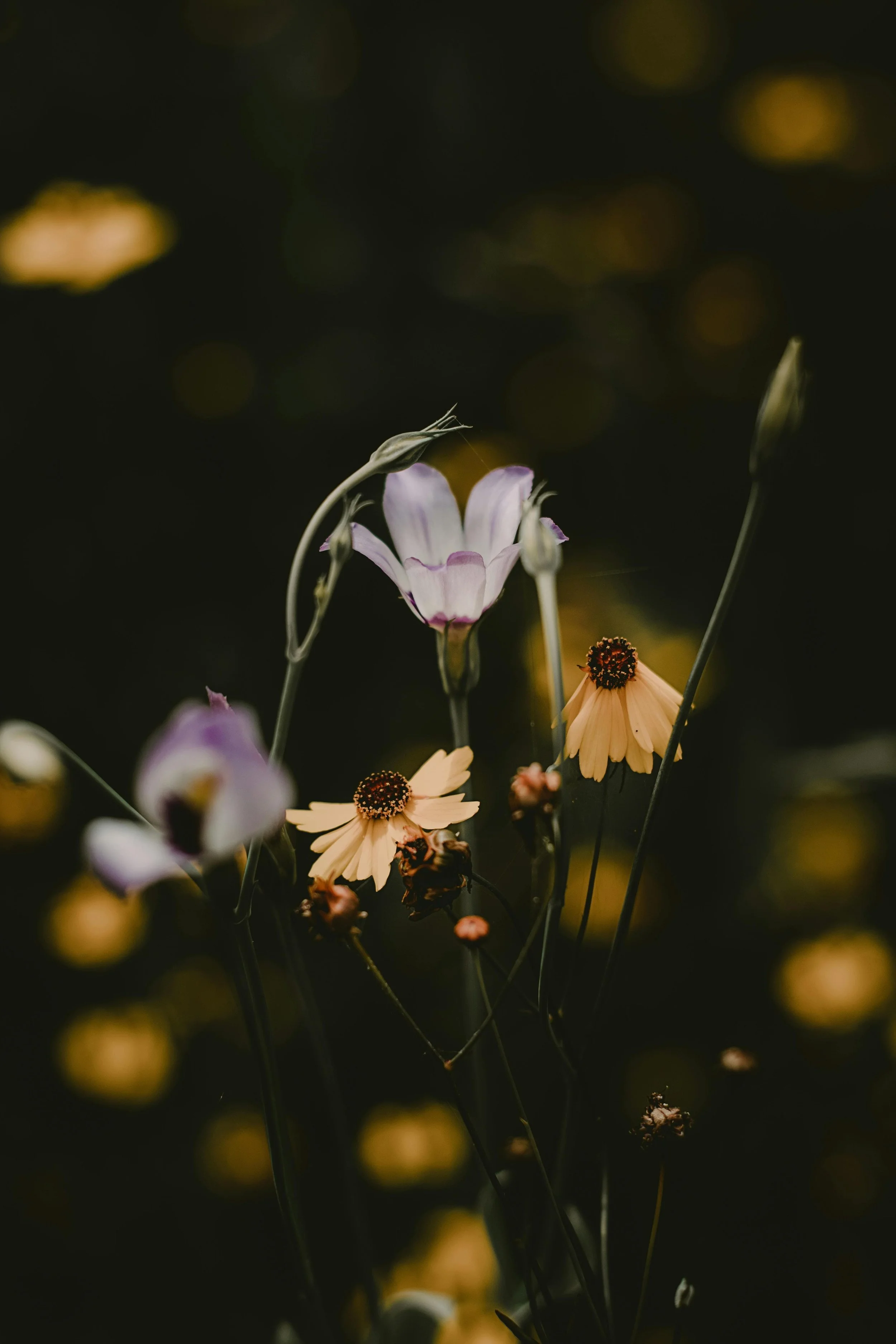 Yellow and pink wildflowers and greenery on the Wildflower Doula Services website.