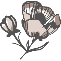 A hand drawn flower graphic on the Wildflower Doula Services website.