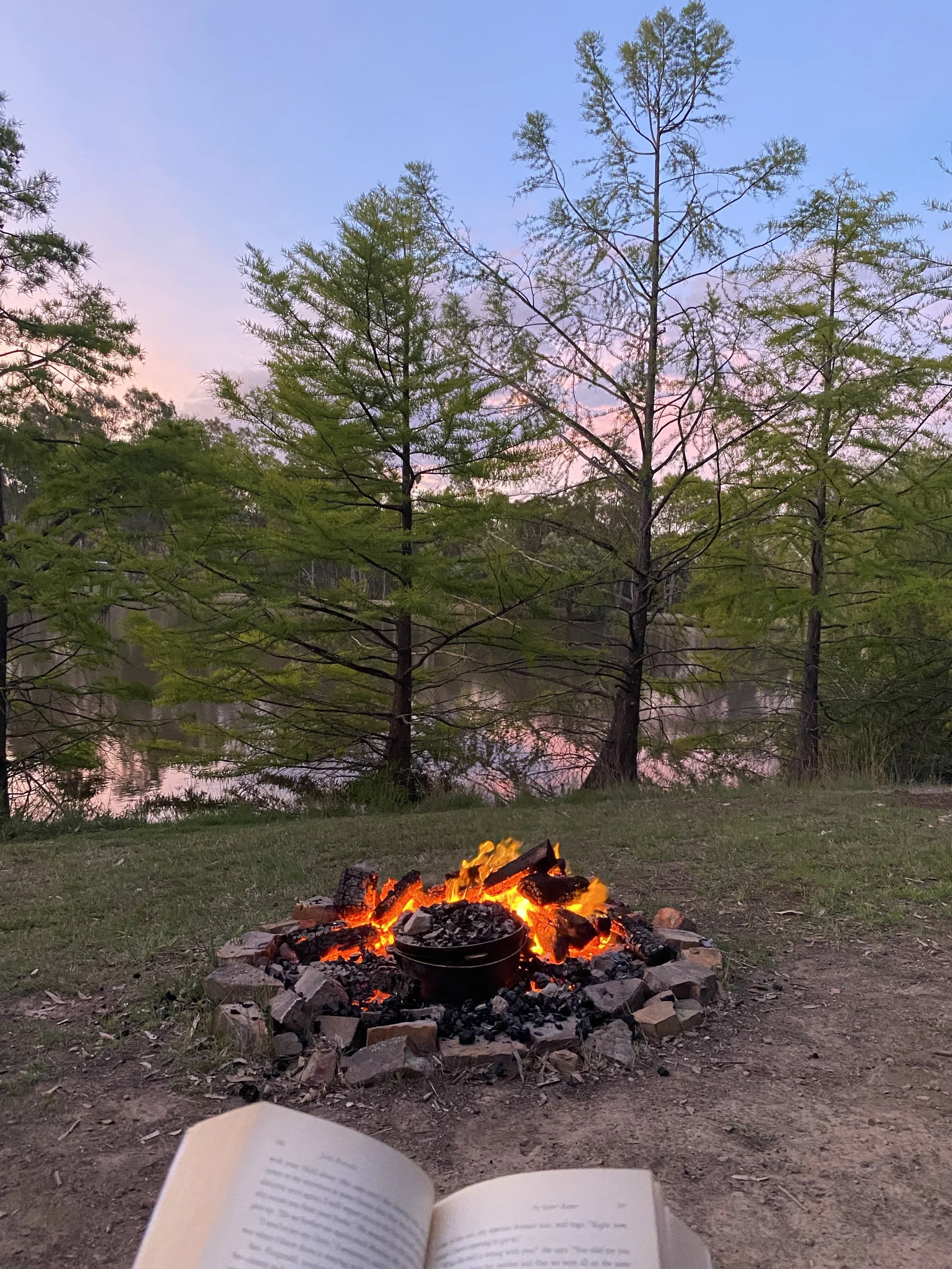 A roaring fire in a firepit surrounded by trees on the Wildflower Doula Services website.
