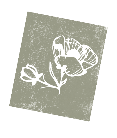 A white drawn flower icon on a green stamp background on the Wildflower Doula Services website.