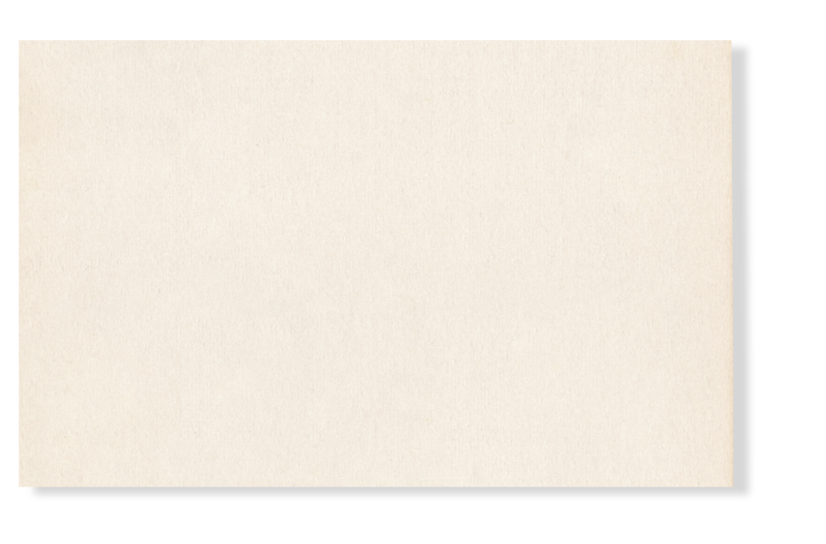 A beige textured rectangular background on Wildflower Doula Services website.