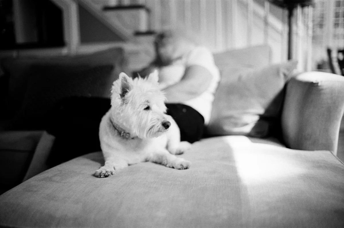 snaps (15 of 37).jpg