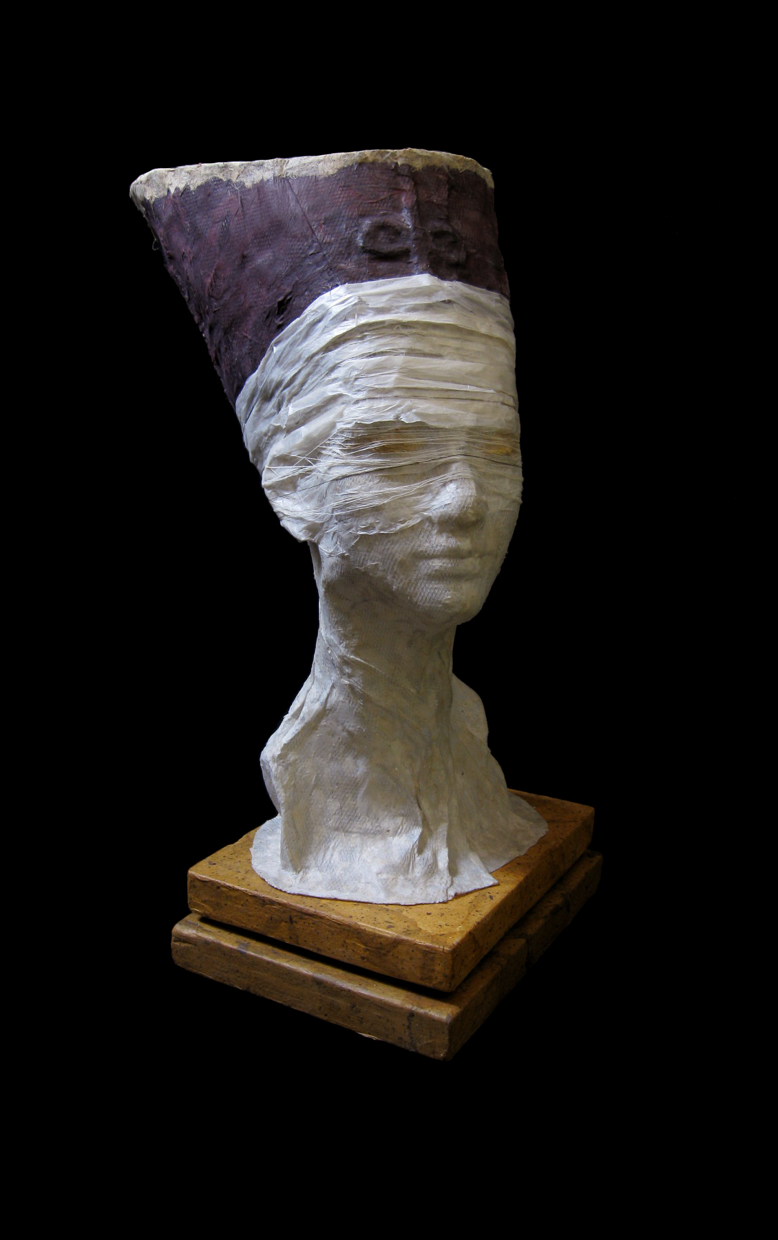 Nefertiti Unwrapped
