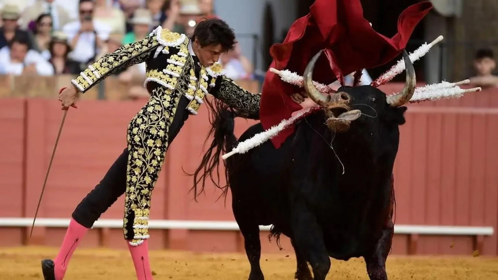 Afternoons of Solitude (2024) 