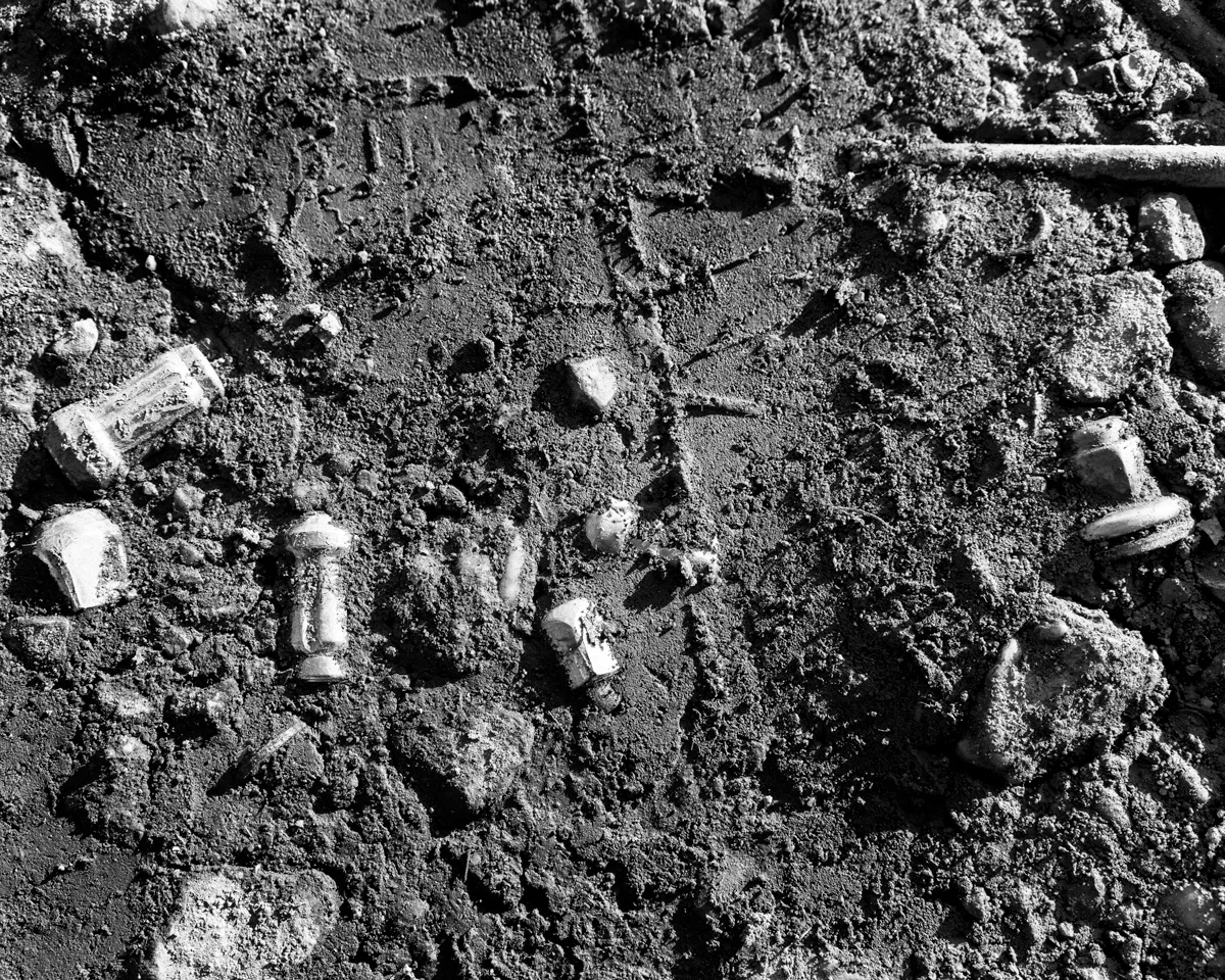 Metal Fossils