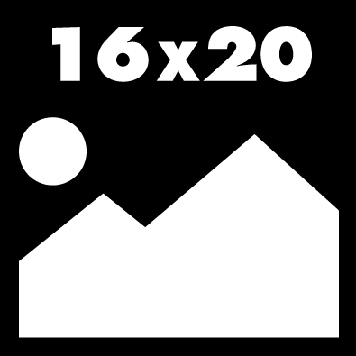 16x20.gif
