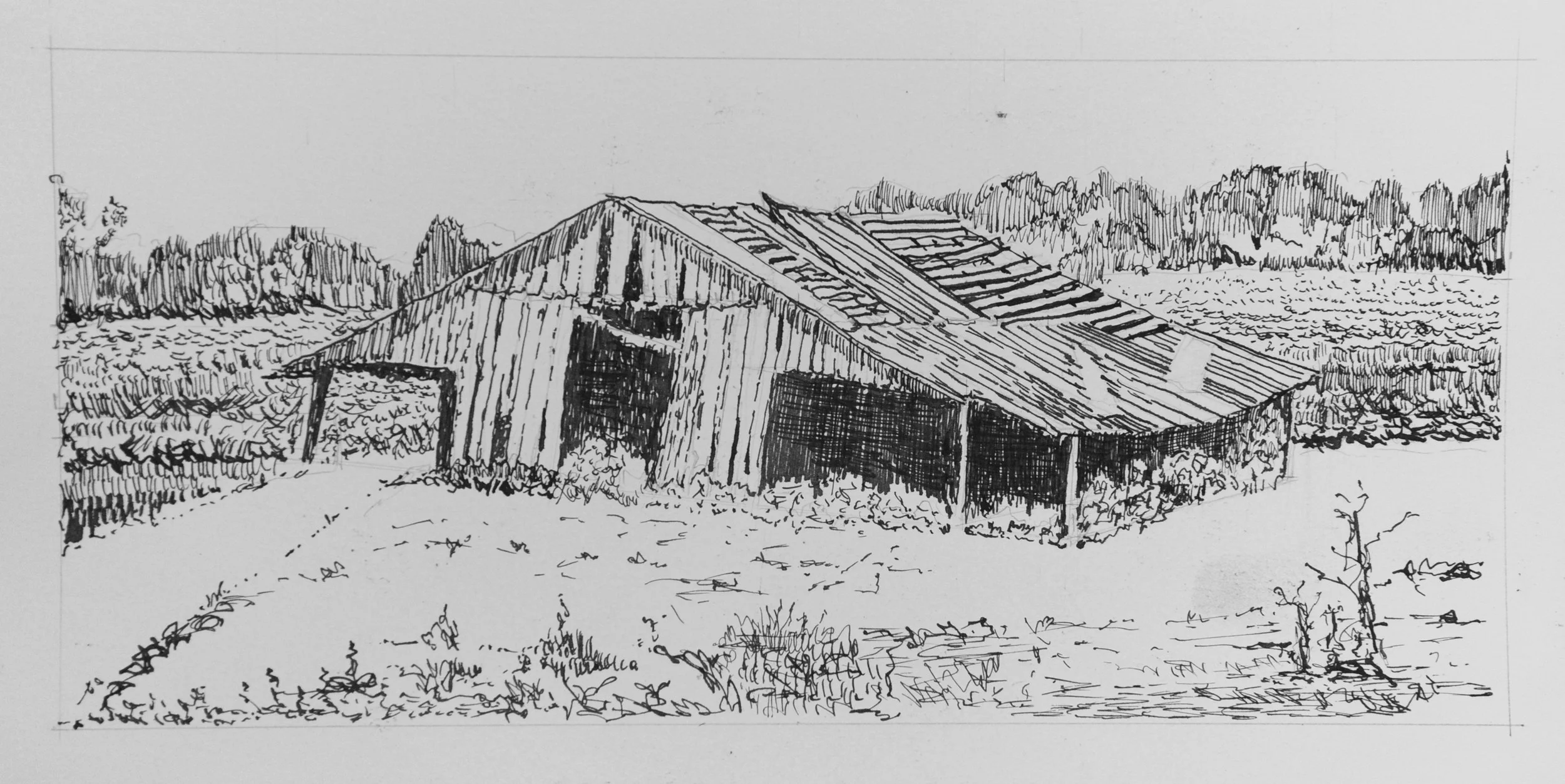 Old Barn Logan Co KY