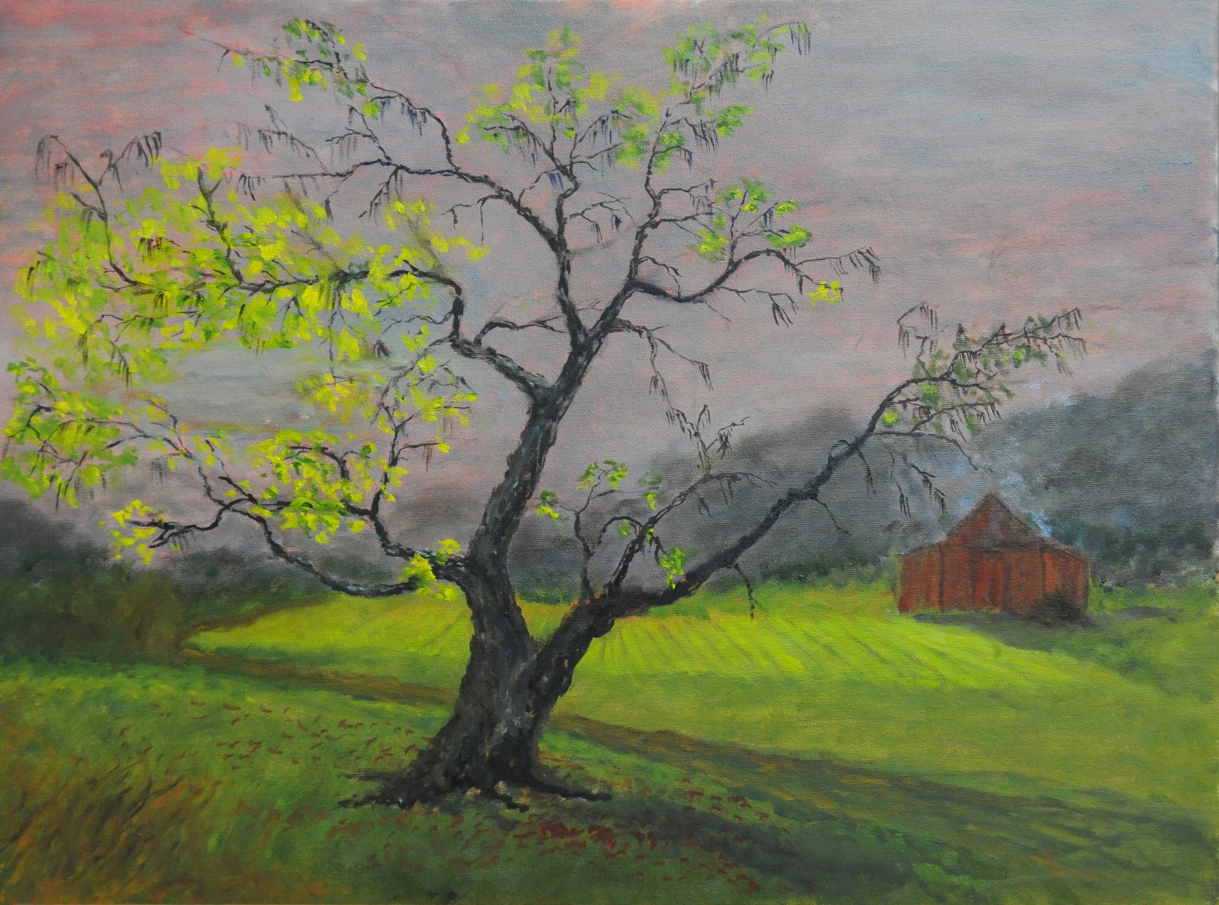 Kentucky Scene