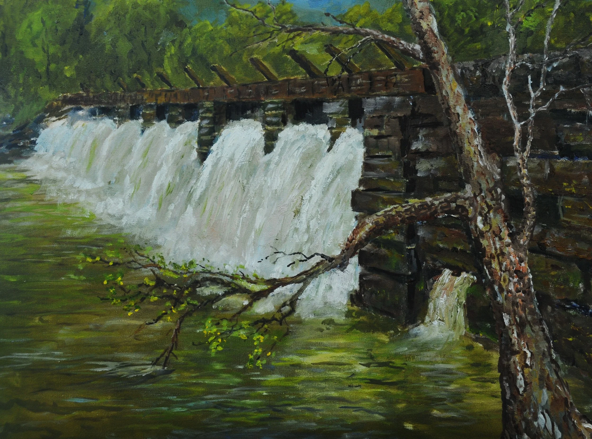 Shaddon Mill Dam