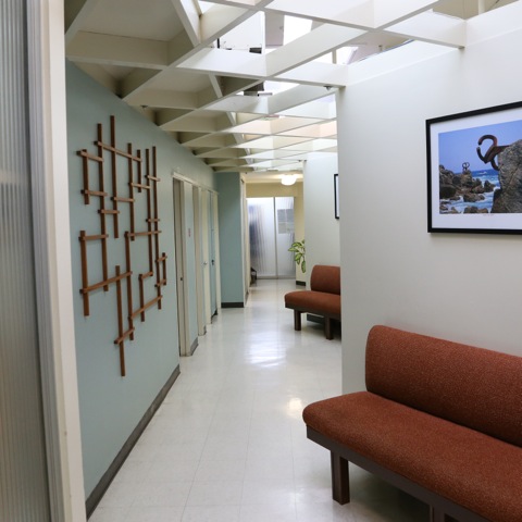IMG_0137.jpeg