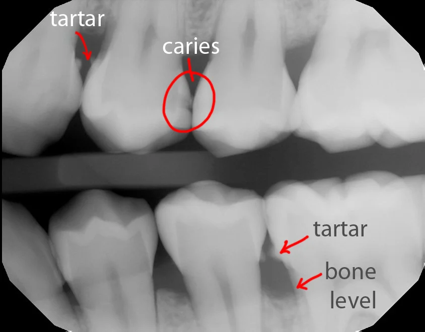 X09030_1 copy.jpg