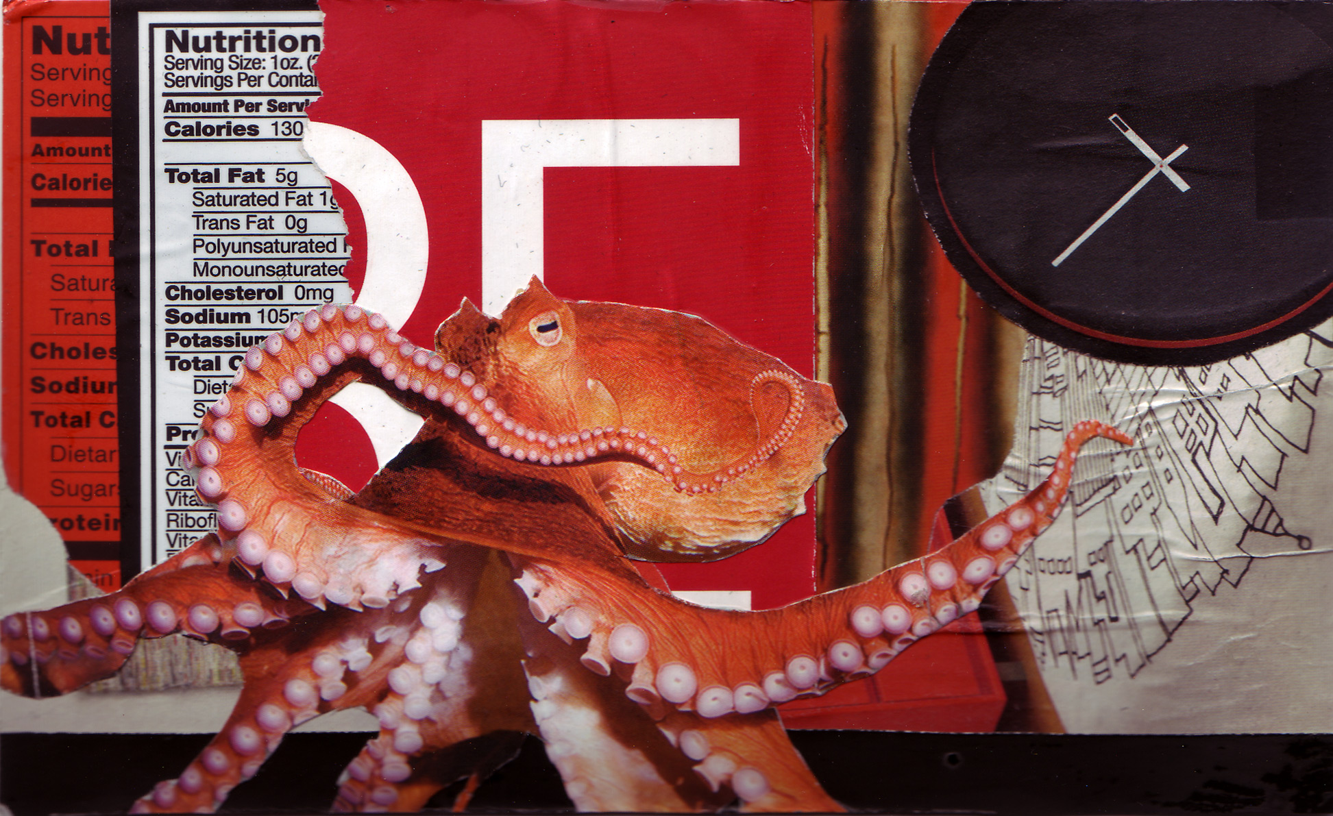 Postcards_Octopus_web.jpg