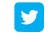 Individual Twitter Email Badge