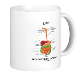liferequireslotsofguts.digestivesystem.mug.10.10.15.png