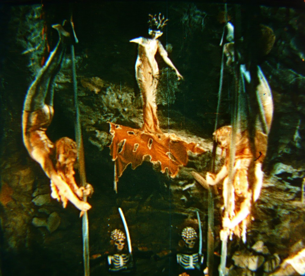 Willeman_FoxMovietoneFolliesOf_1929_Multicolor.jpg