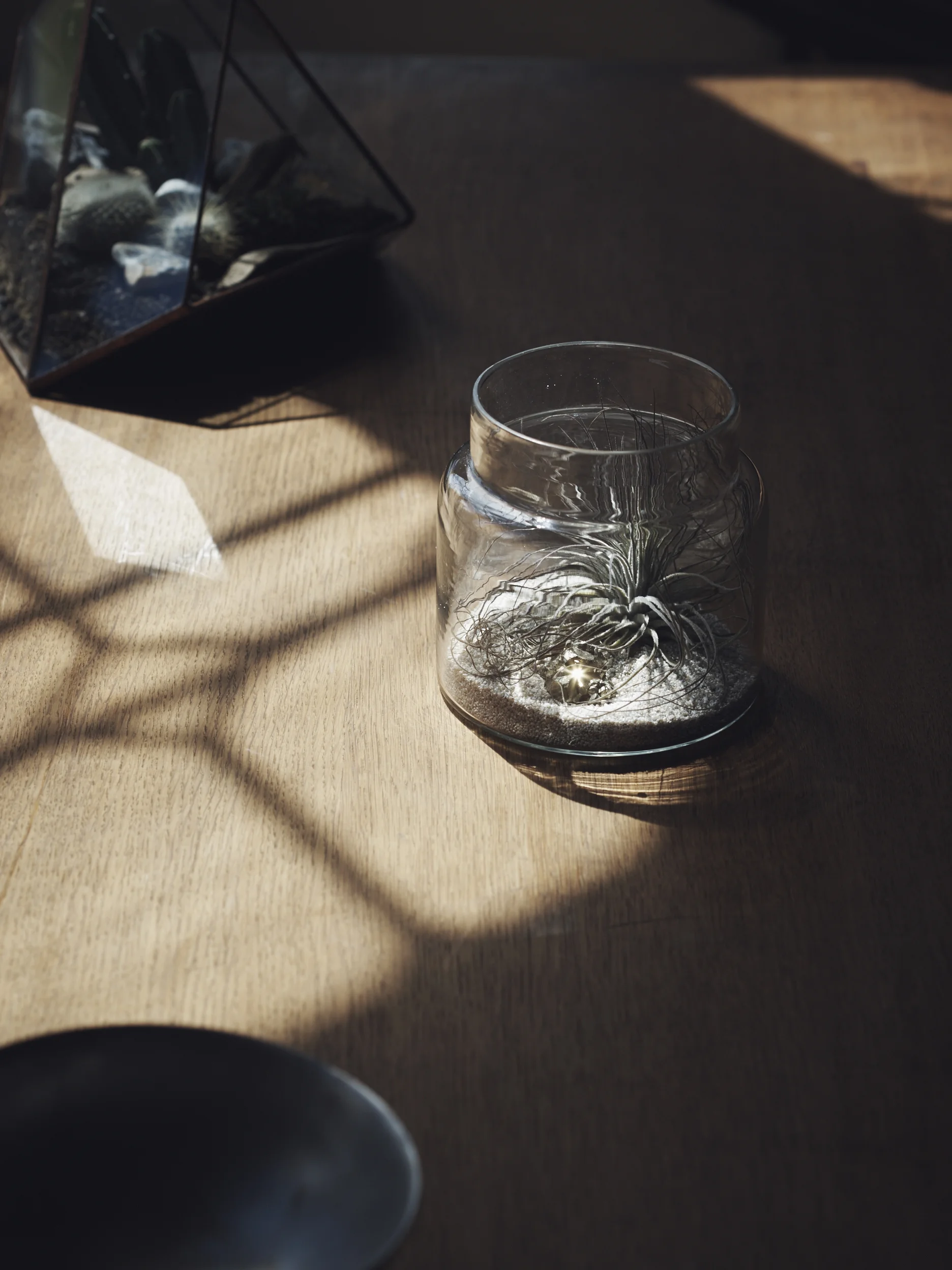 Shot_01-019.jpg