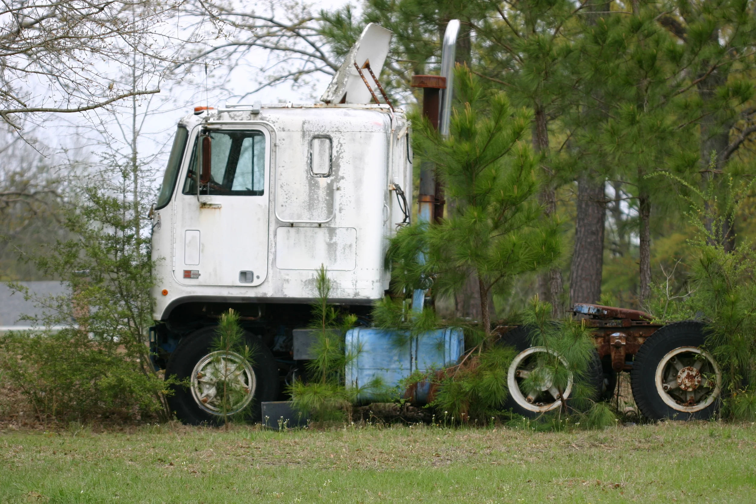 Shared Space: Tree Truck