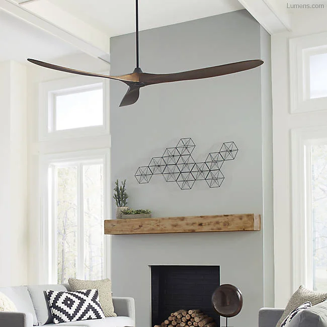 About that Ceiling Fan...