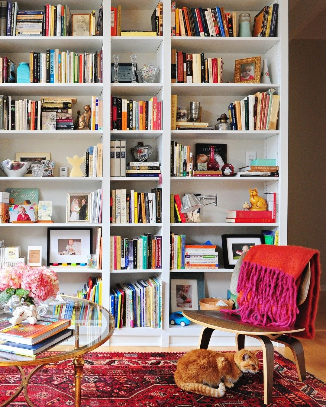 Oh hey, it's National Cat Day. I wish I loved cats the way @lulunoggler and @cahwhittaker do, because they are, IMO, the most Feminist of animals: wise, independent, proactive self-advocates who look for sun and groom themselves well. Alas, I prefer 