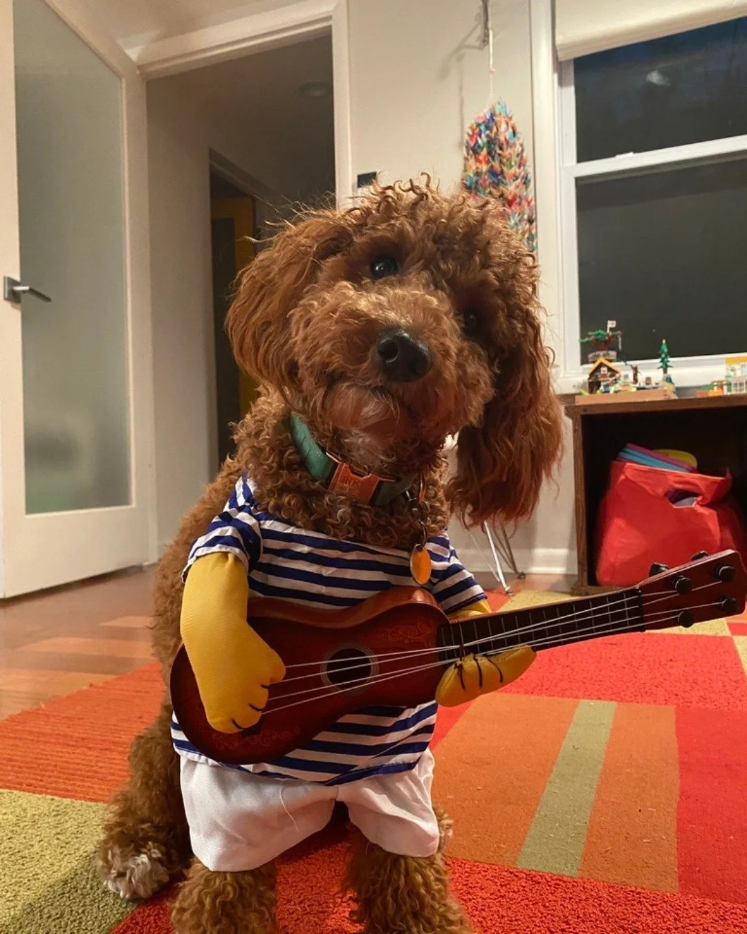 Oh hey, it is National Dog Day! A holiday we can definitely get behind. I always tell students interested in design that if you go residential, you sign up to be tackled by dogs, rubbed up by cats, questioned by children, and right in the middle of m