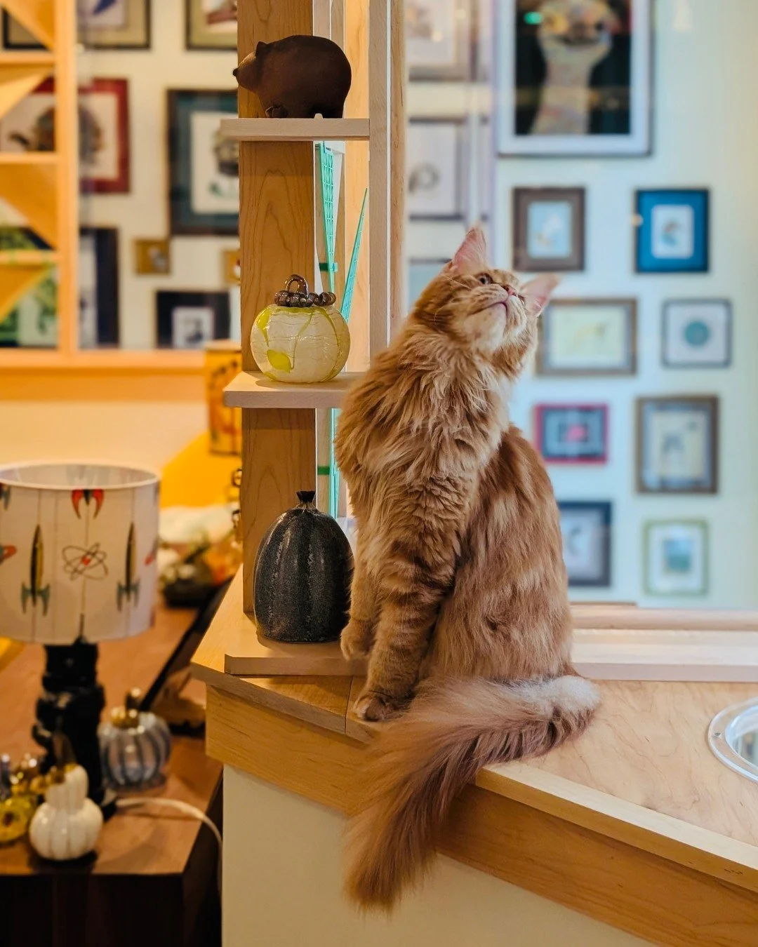 Hey Hey, today is National Cat Day! (We have recently learned there are also Global and International Cat Days, lol, but let's just be America-centric about this one insignificant thing, shall we?)

Last winter we were engaged by some super cool peop