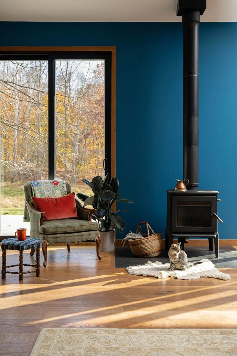 rainbow-in-the-woods-susan-yeleyblue-cat-fireplace-on-rug.jpg