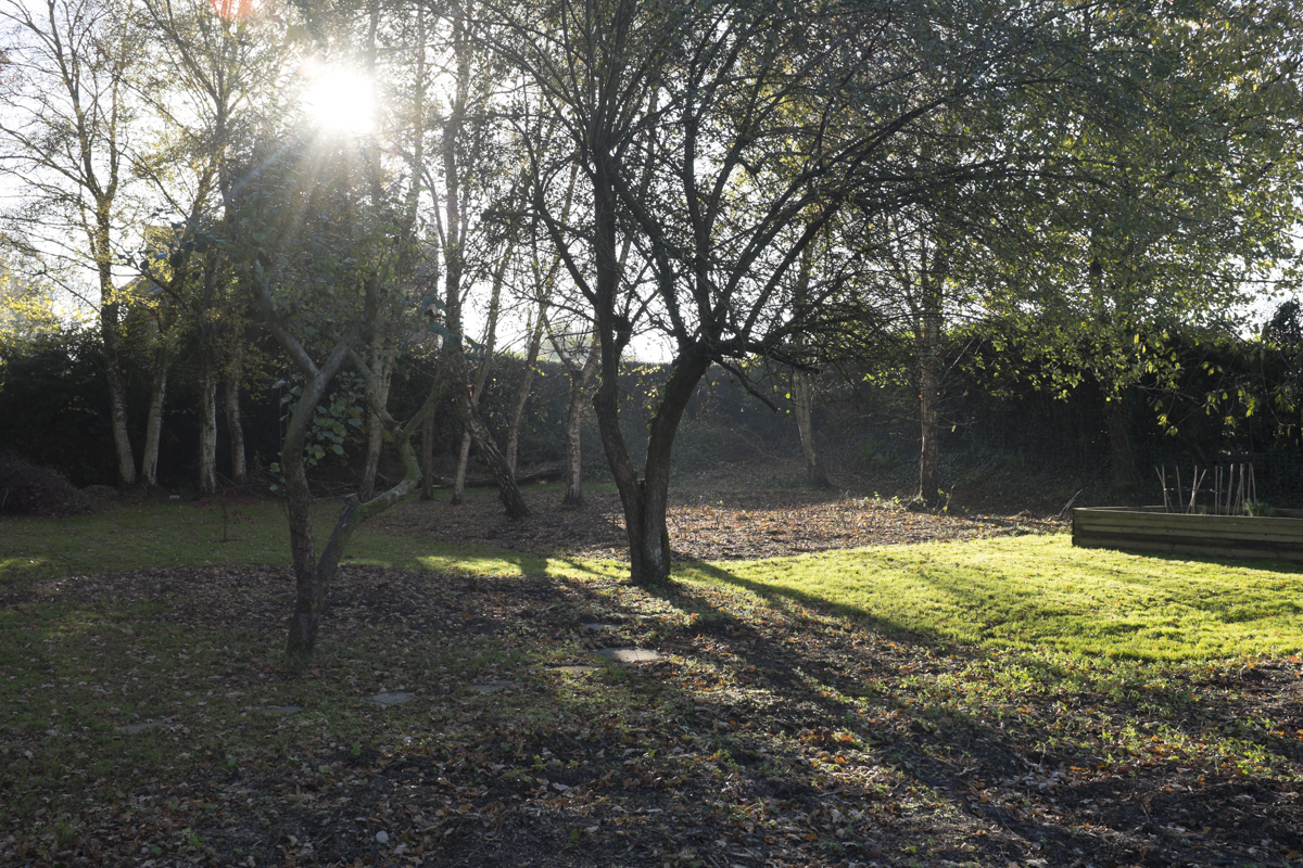 Nice morning light, small garden on the right.