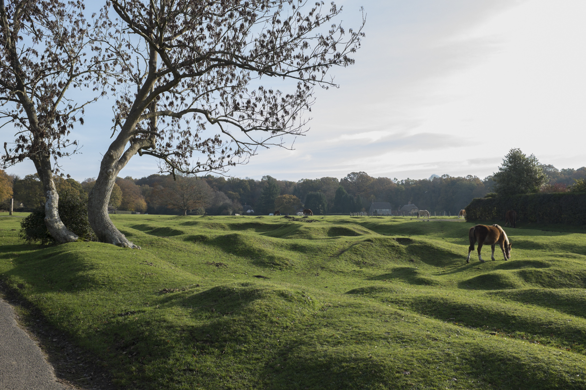We surmised that the little hills and rolling nature of the fields were made by prehistoric glacier activity in the area.