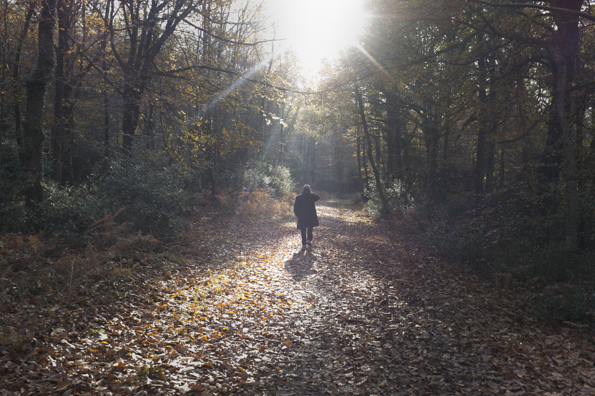 Adam walking in the forest.